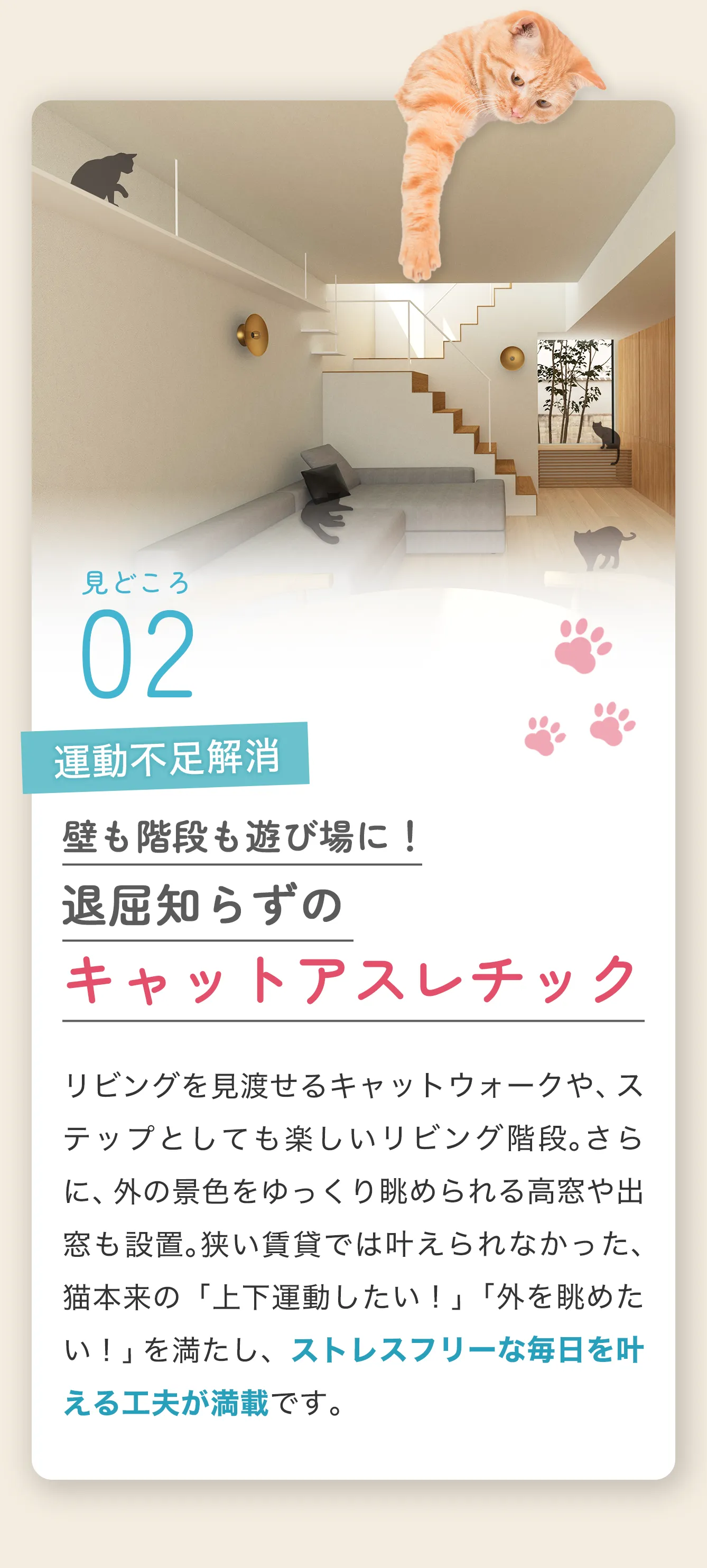 チャプター5
