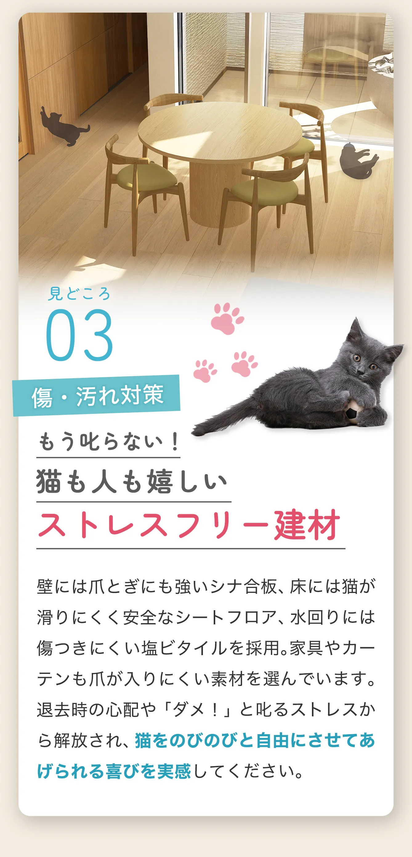 チャプター5