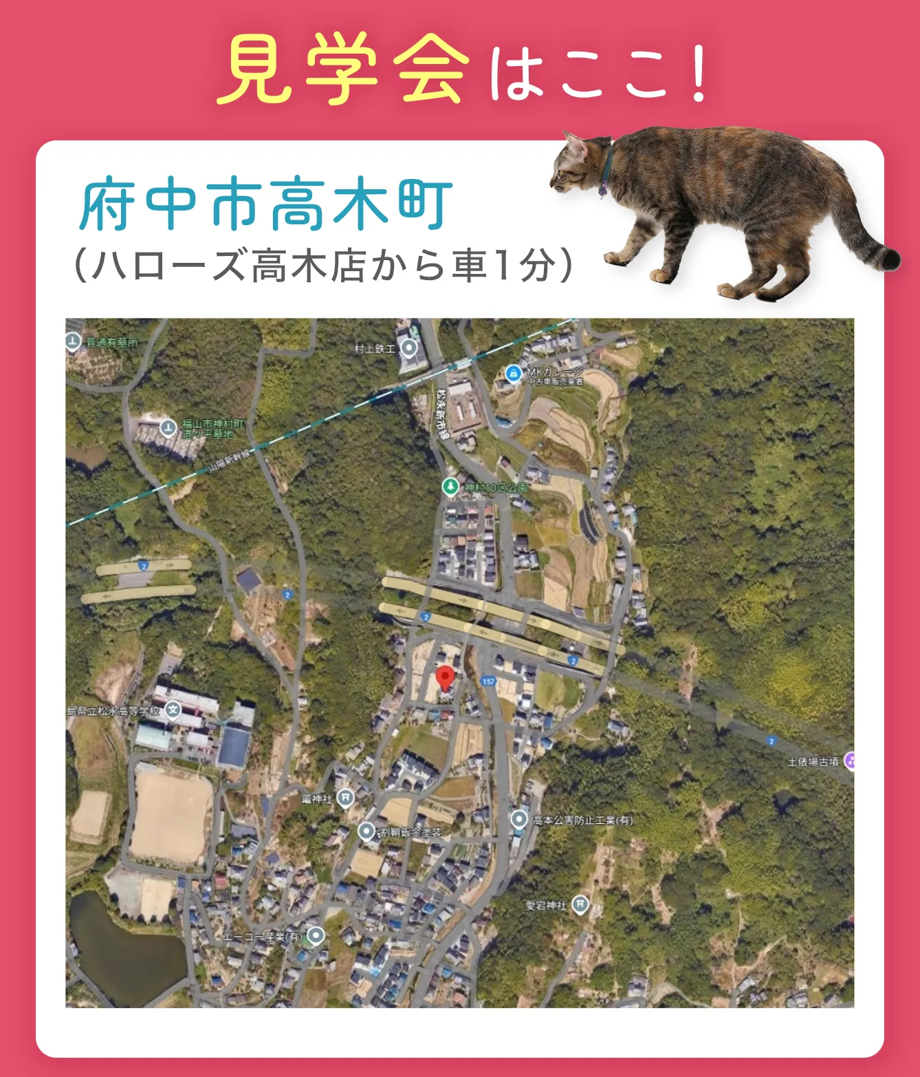 チャプター7